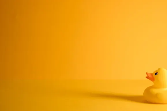 بي كازينو الدعم